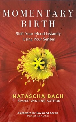 Momentary Birth