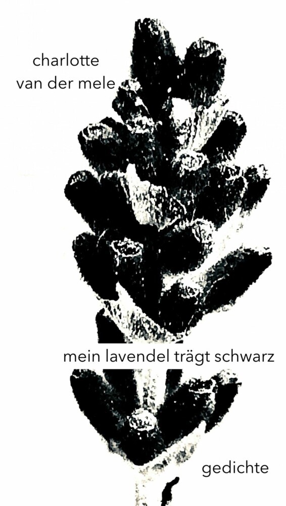 mein lavendel trägt schwarz main product photo