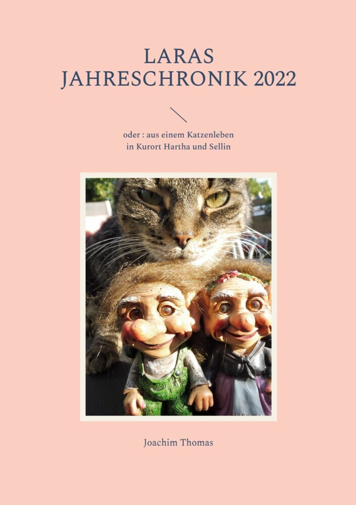 Laras Jahreschronik 2022 main product photo