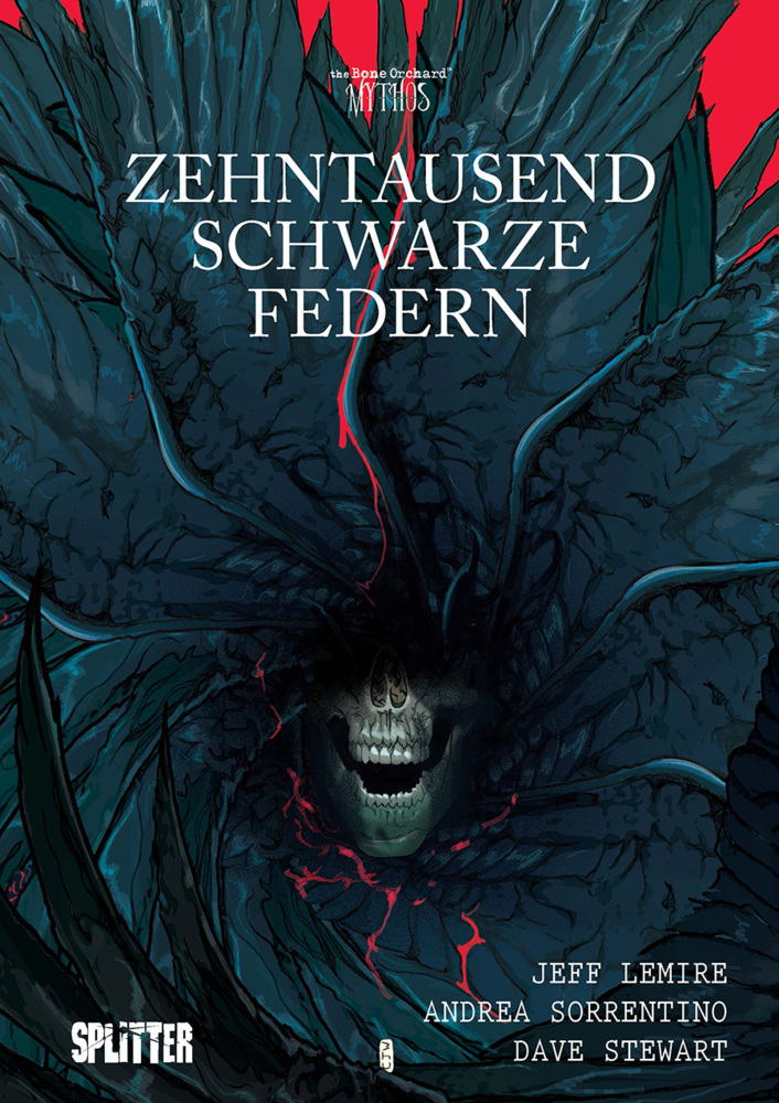 Zehntausend schwarze Federn main product photo