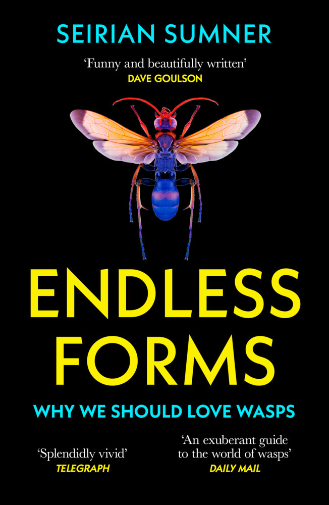 Endless Forms main product photo