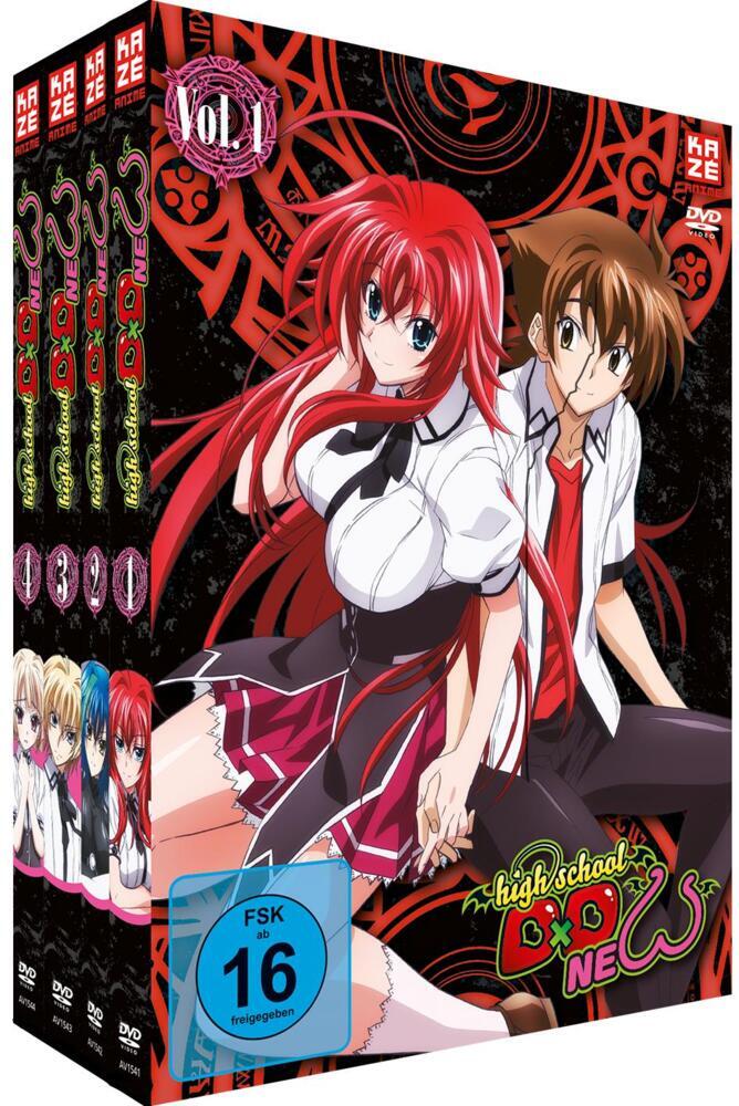 Highschool DxD New - Staffel 2 - Gesamtausgabe - Vol.1-4 (4 DVDs) main product photo