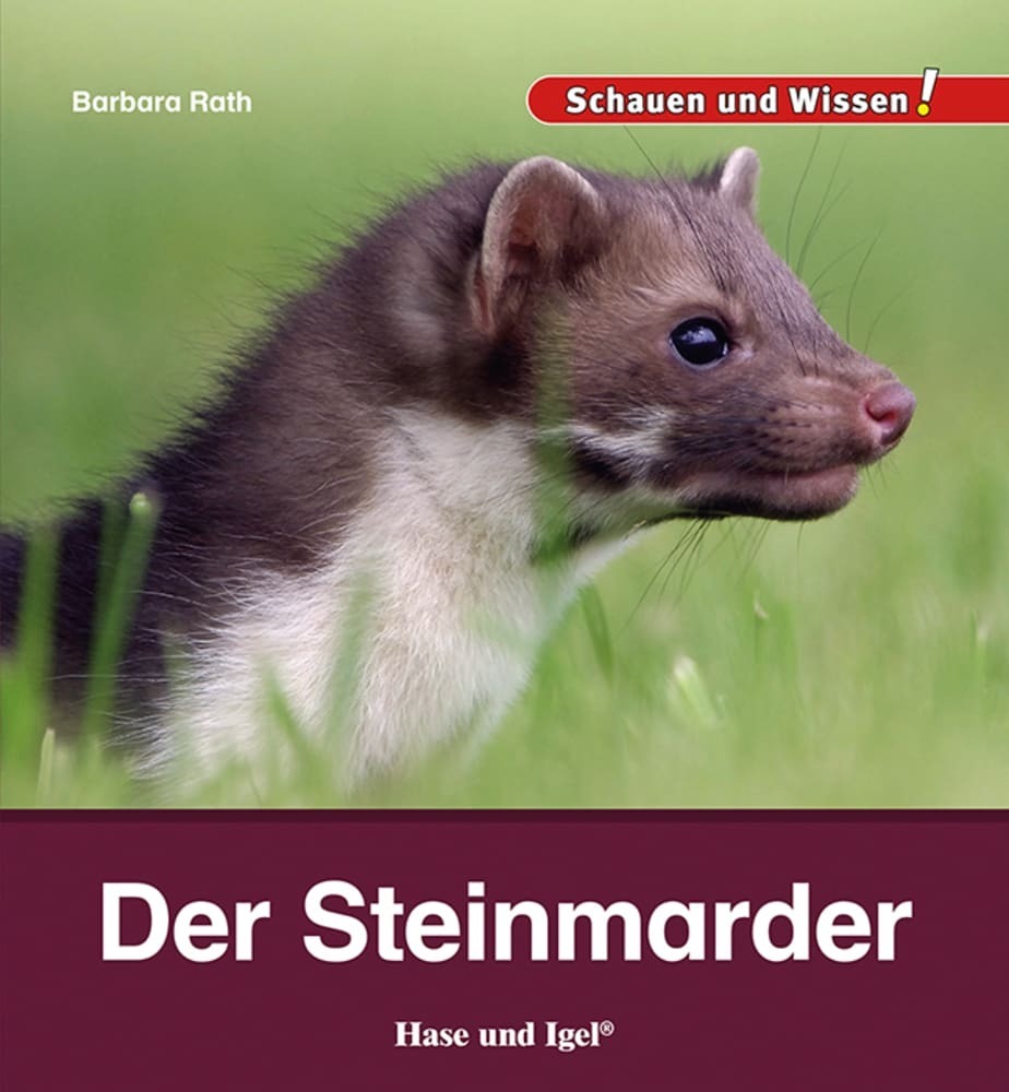 Der Steinmarder main product photo