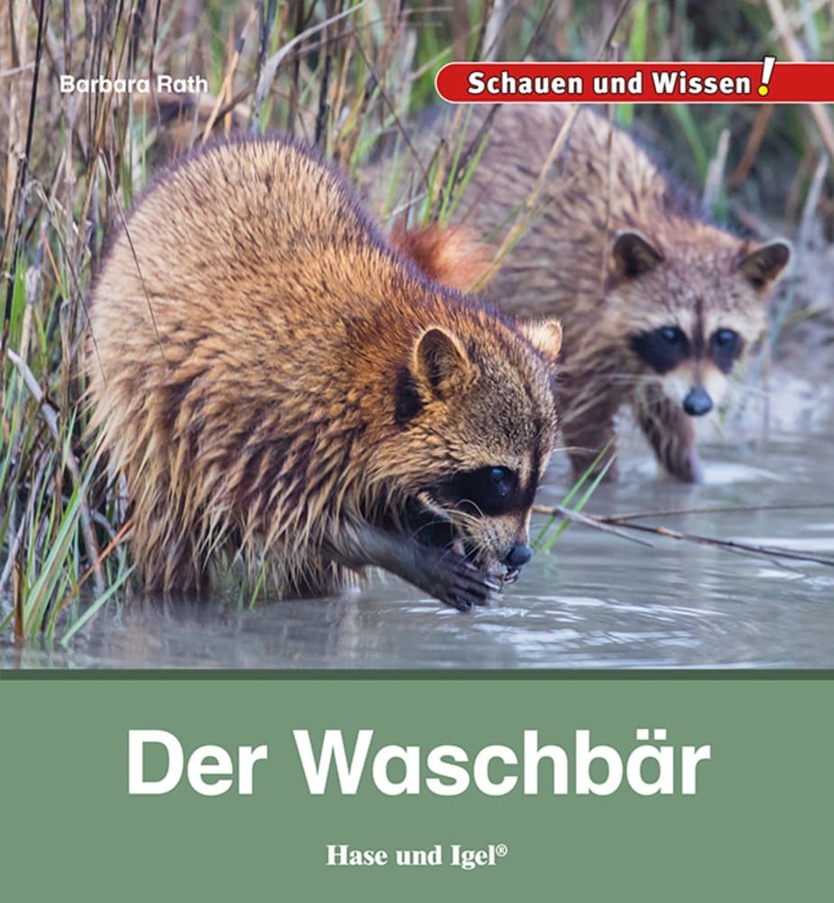 Der Waschbär main product photo