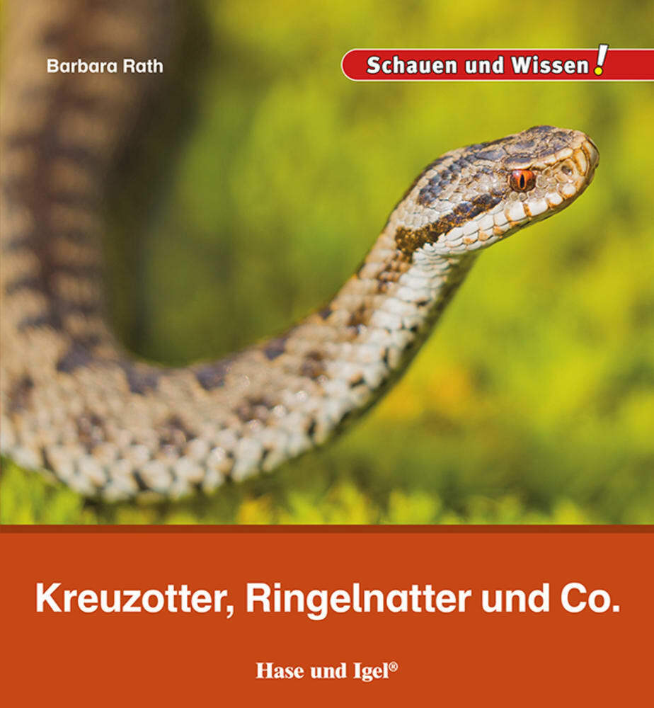 Kreuzotter, Ringelnatter und Co. main product photo