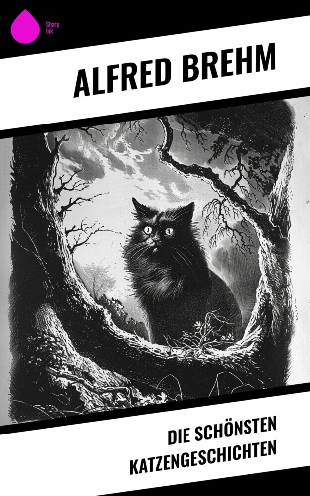 Die schönsten Katzengeschichten main product photo