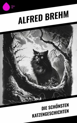 Die schönsten Katzengeschichten