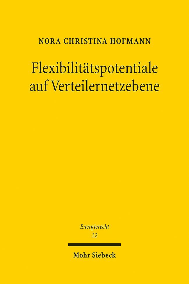 Flexibilitätspotentiale auf Verteilernetzebene main product photo