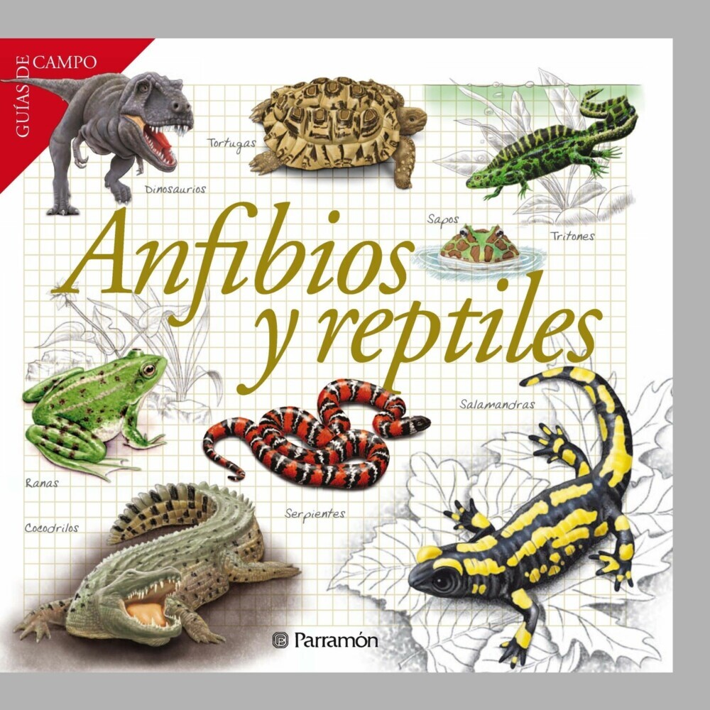 Anfibios y reptiles main product photo