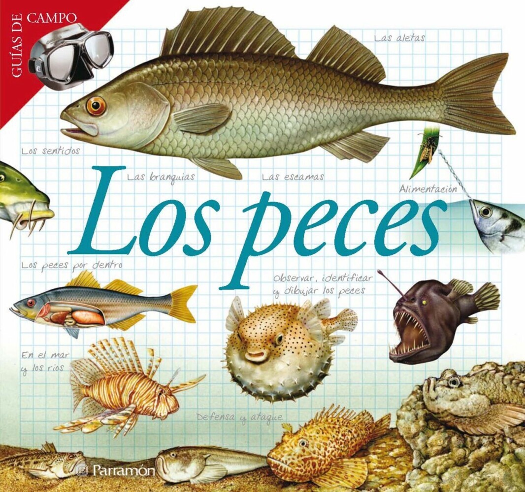Los peces main product photo