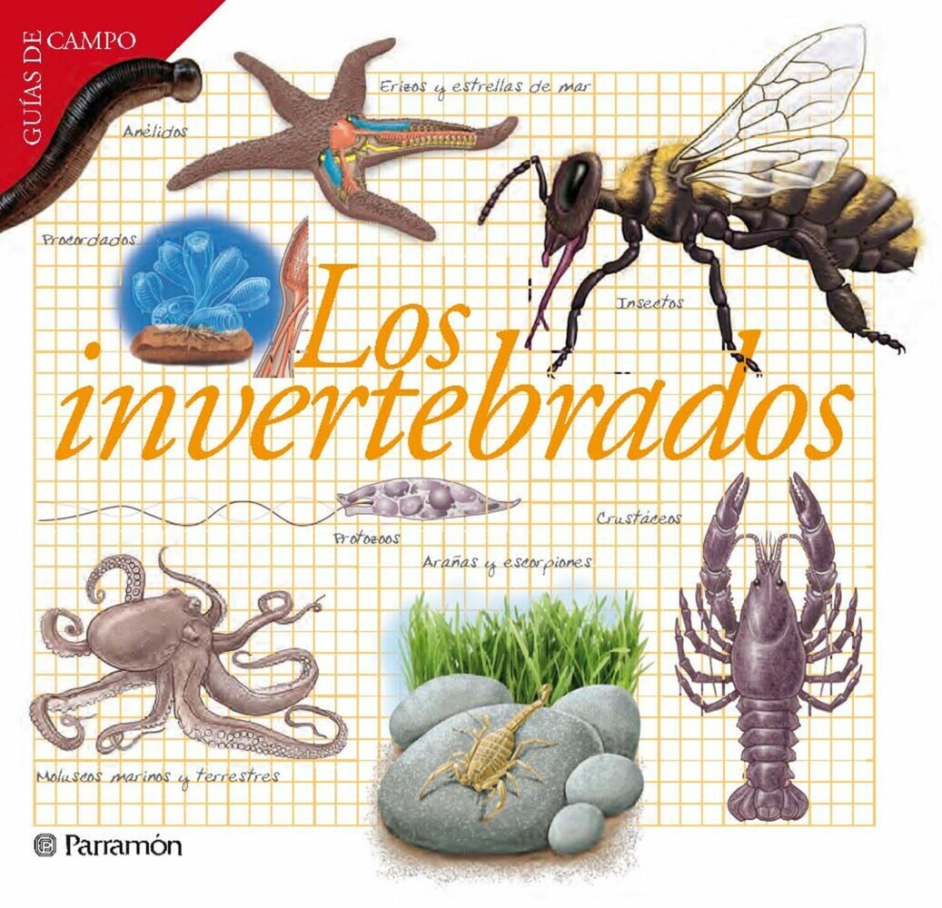 Los invertebrados main product photo