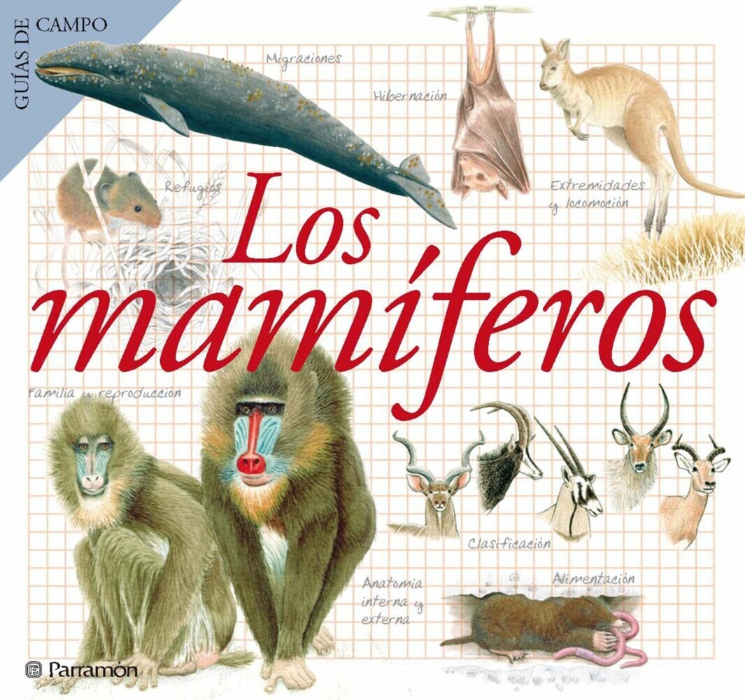 Los mamíferos main product photo