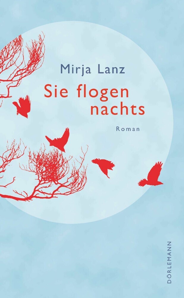 Sie flogen nachts main product photo