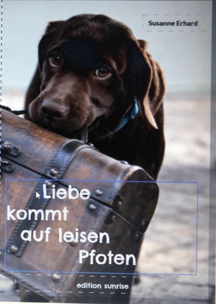 Liebe kommt auf leisen Pfoten main product photo