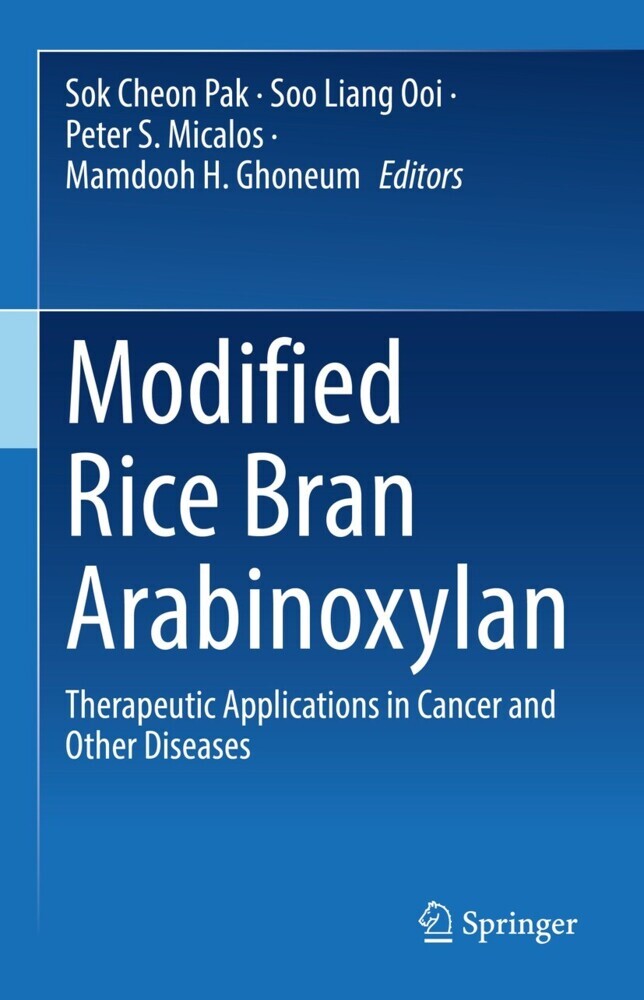 Modified Rice Bran Arabinoxylan main product photo