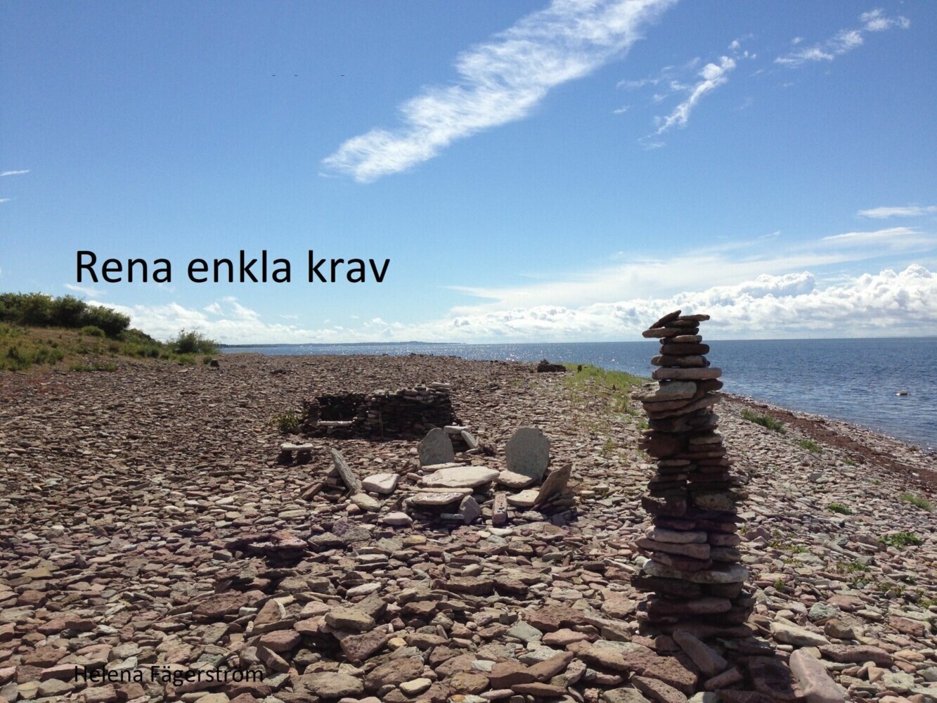 Rena enkla krav main product photo