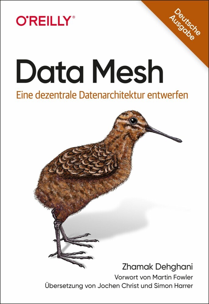 Data Mesh main product photo
