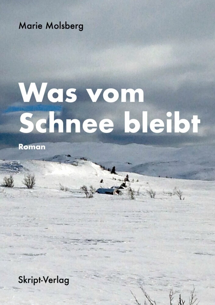 Was vom Schnee bleibt main product photo