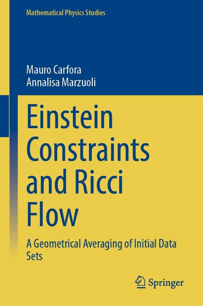 Einstein Constraints and Ricci Flow main product photo