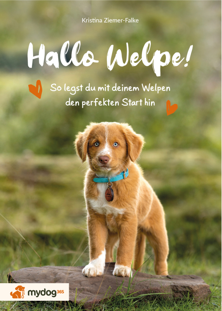 Hallo Welpe! main product photo