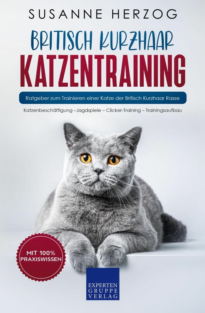 Britisch Kurzhaar Katzentraining main product photo
