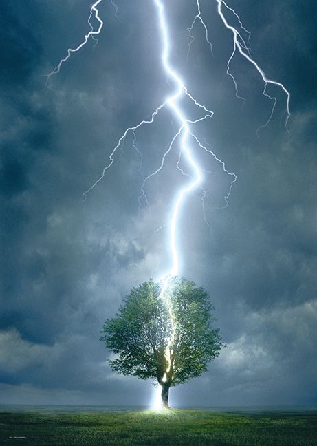 Lighting Striking Tree (Puzzle) main product photo