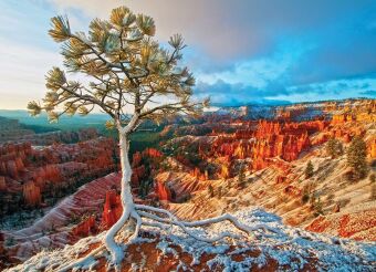 Winter Sunrise (Puzzle)