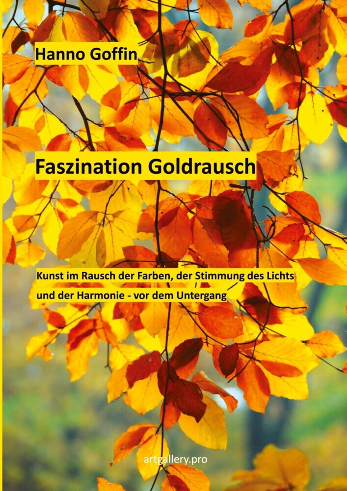 Faszination Goldrausch main product photo