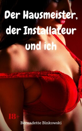 Der Hausmeister, der Installateur und ich