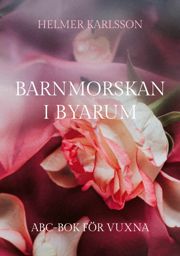 Barnmorskan i Byarum main product photo