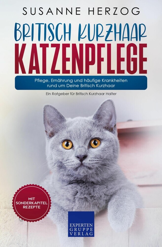 Britisch Kurzhaar Katzenpflege - Pflege, Ernährung und häufige Krankheiten rund um Deine Britisch Kurzhaar main product photo