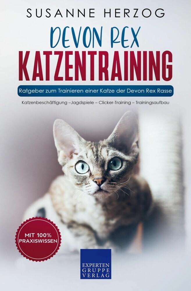 Devon Rex Katzentraining - Ratgeber zum Trainieren einer Katze der Devon Rex Rasse main product photo