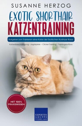 Exotic Shorthair Katzentraining - Ratgeber zum Trainieren einer Katze der Exotischen Kurzhaar Rasse