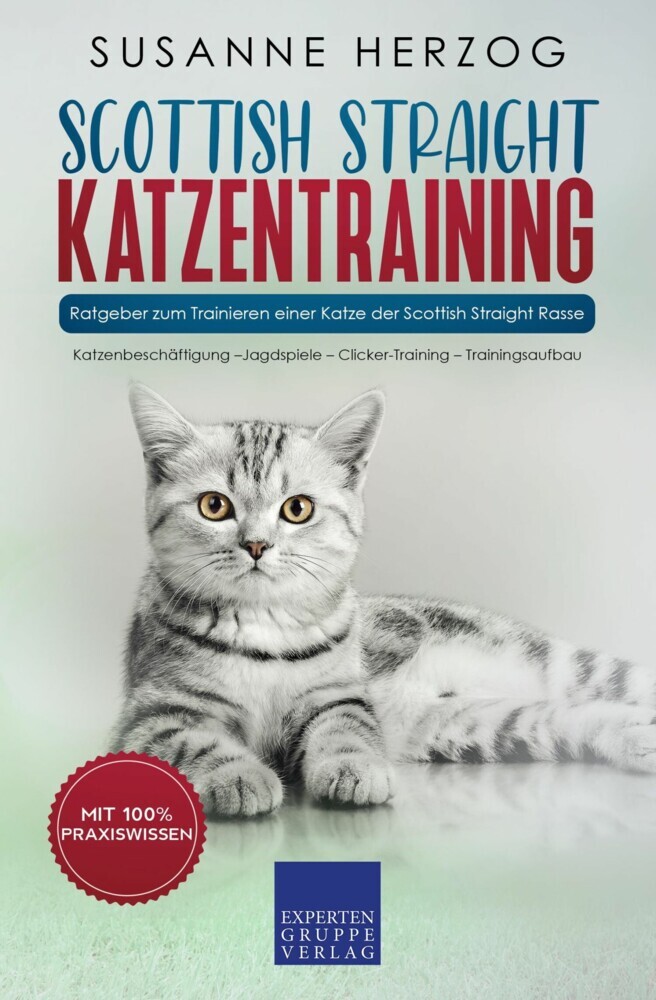 Scottish Straight Katzentraining - Ratgeber zum Trainieren einer Katze der Scottish Straight Rasse main product photo