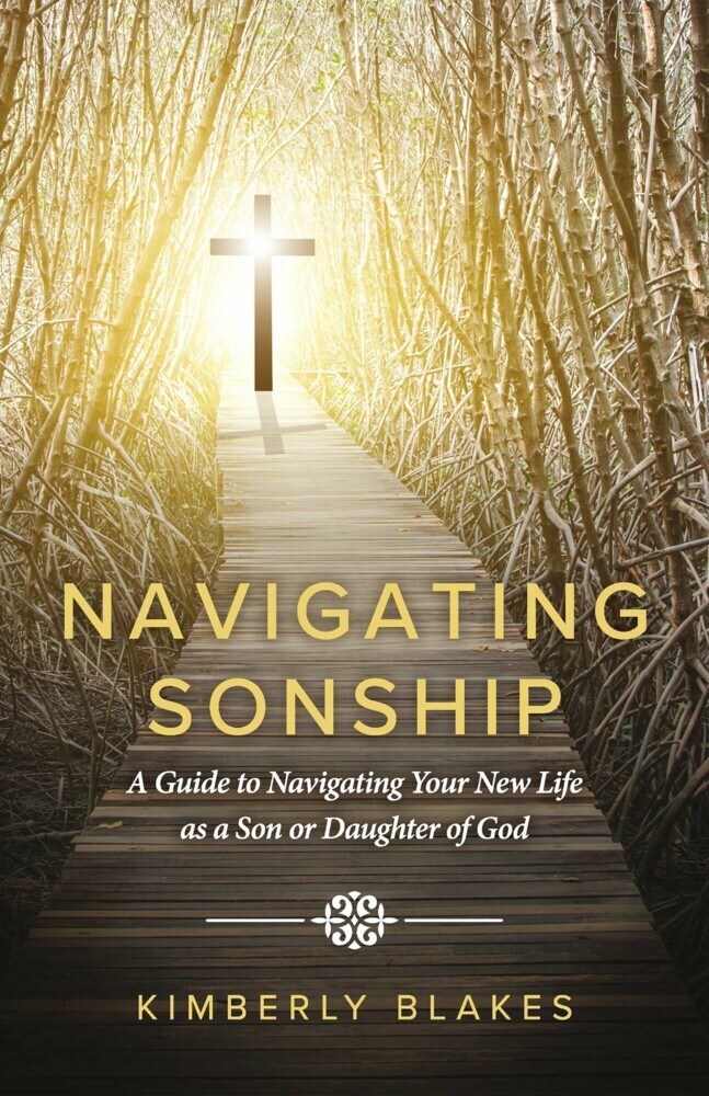 Navigating Sonship main product photo