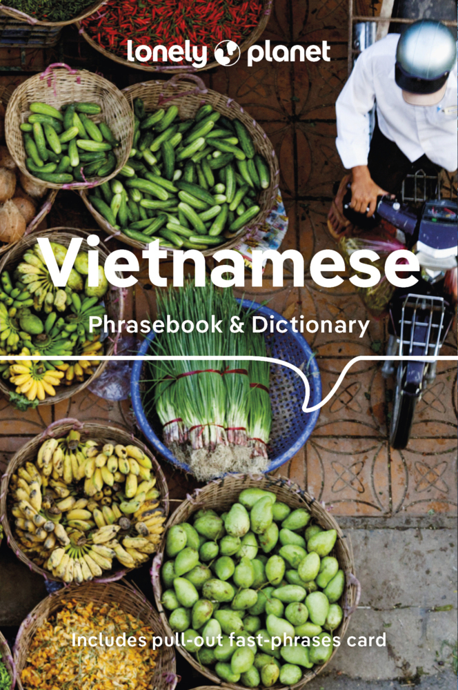 Lonely Planet Vietnamese Phrasebook & Dictionary main product photo