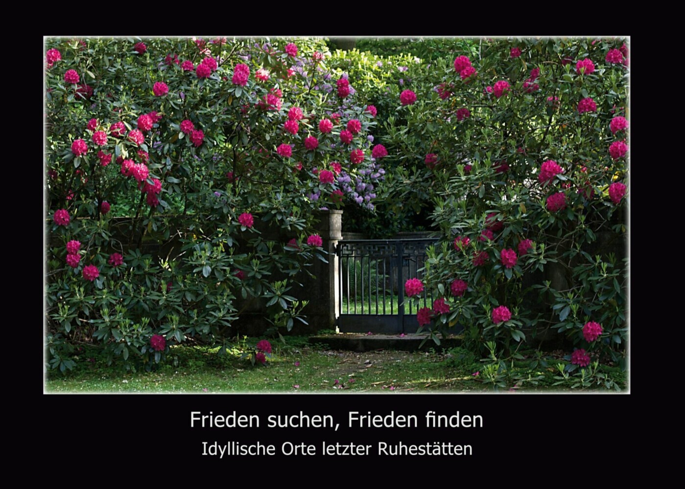 Frieden suchen, Frieden finden main product photo