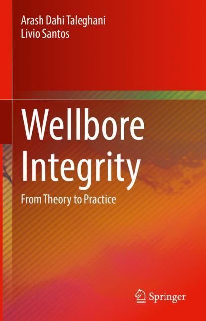 Wellbore Integrity main product photo