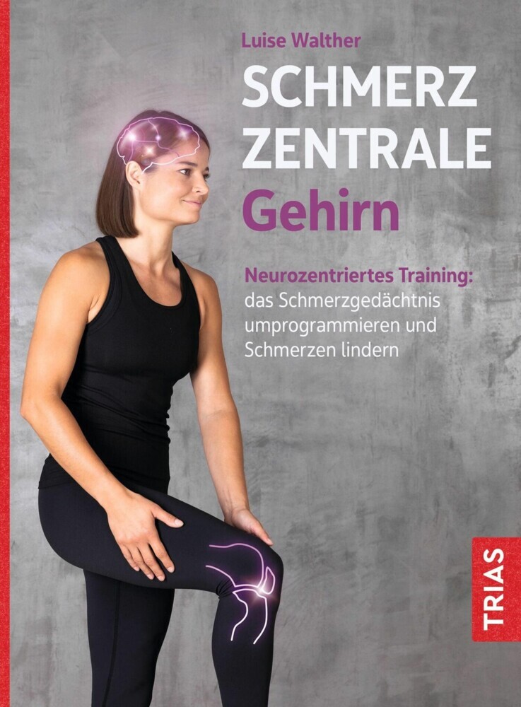 Schmerzzentrale Gehirn main product photo