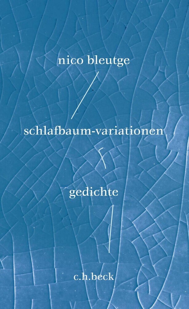 schlafbaum-variationen main product photo