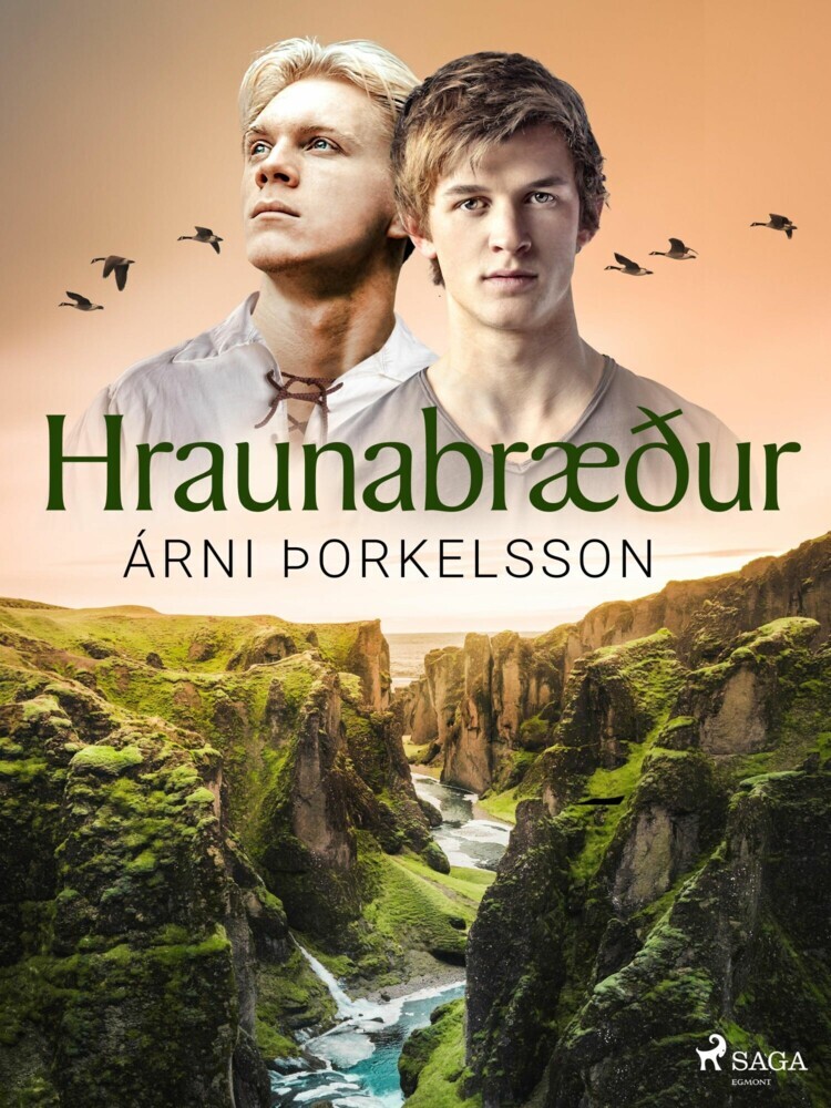 Hraunabræður main product photo