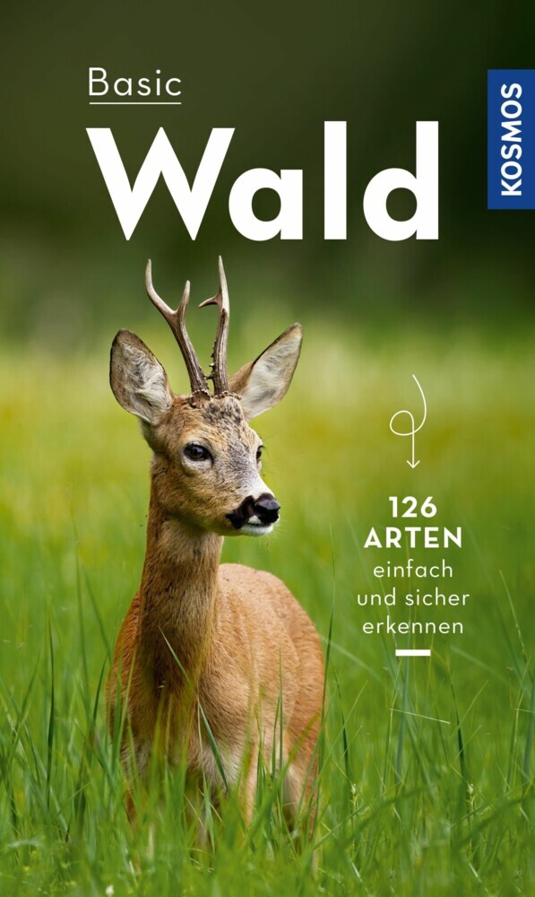 Basic Wald main product photo