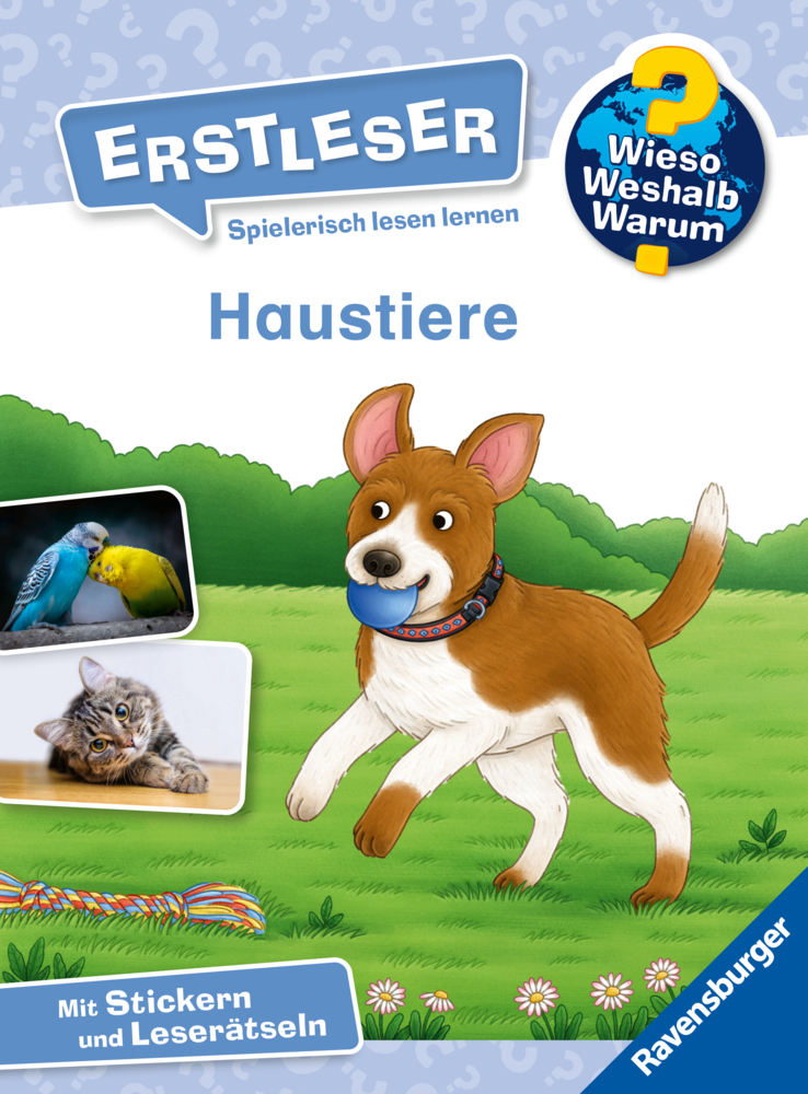 Wieso? Weshalb? Warum? Erstleser, Band 12 - Haustiere main product photo