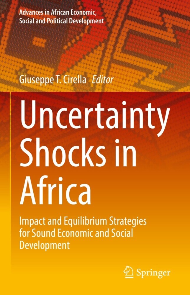Uncertainty Shocks in Africa main product photo