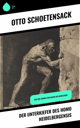 Der Unterkiefer des Homo Heidelbergensis