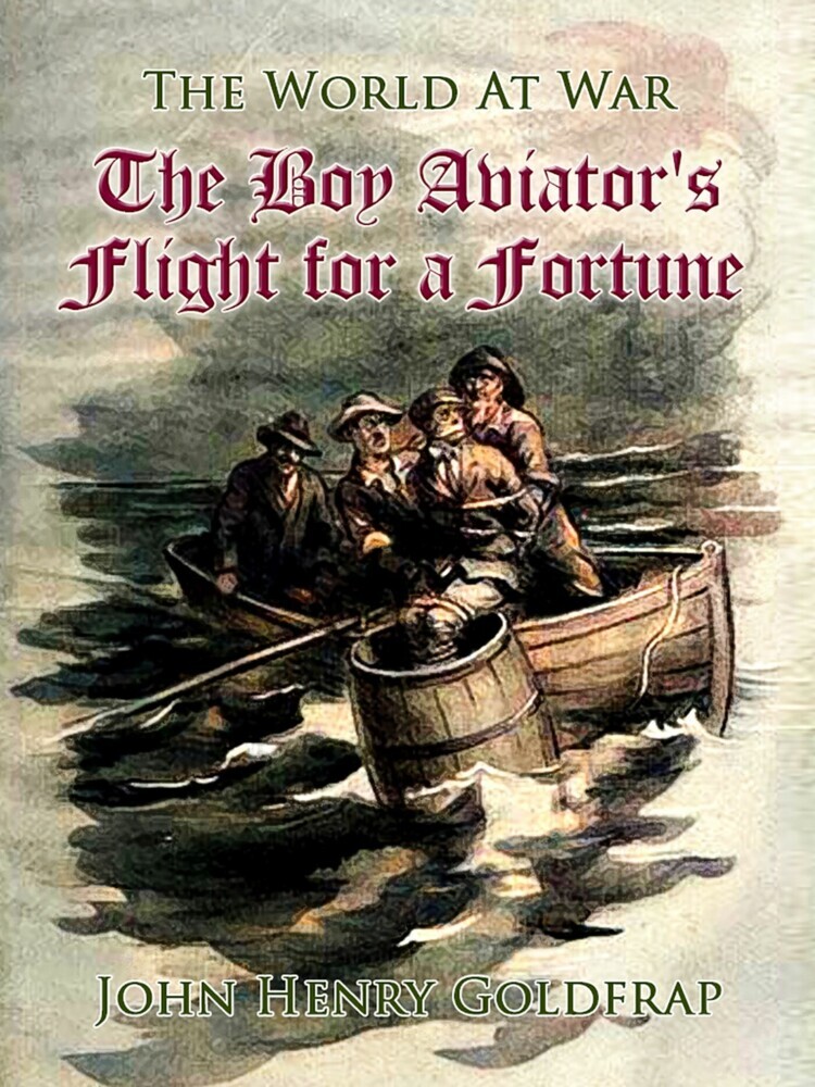 The Boy Aviator's Flight for a Fortune main product photo