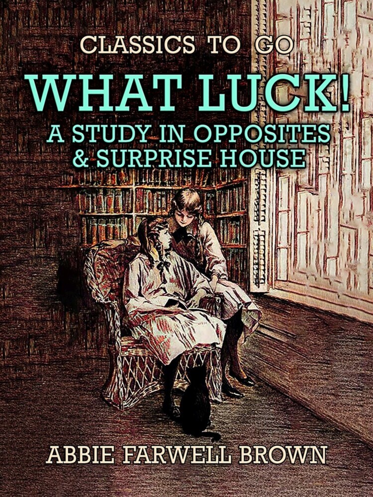 What Luck! A Study in Opposites & Surprise House main product photo