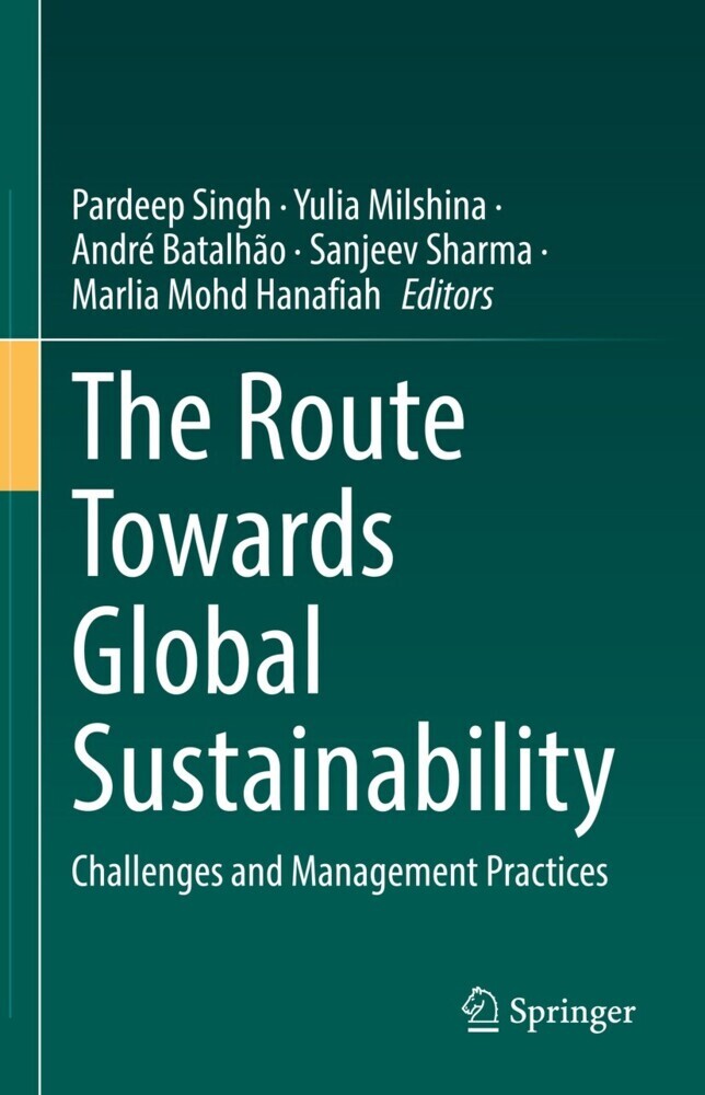 The Route Towards Global Sustainability main product photo