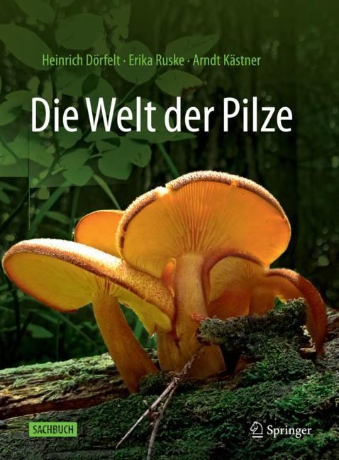 Die Welt der Pilze main product photo