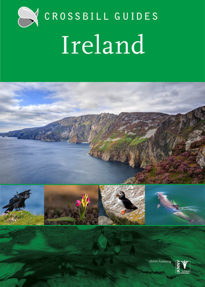 Ireland main product photo